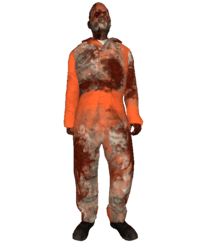 prisoner skin 1